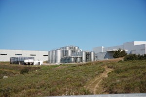 Vinícola Douro - Portugal