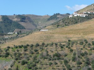 Vinícola Douro - Portugal