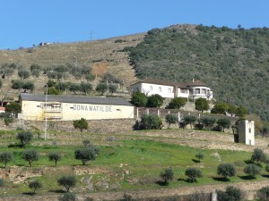 Vinícola Douro - Portugal