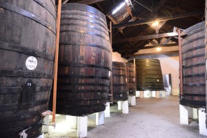 Vinho LBV - Late Bottled Vintage